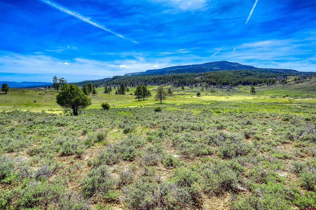 X County Road 359 Pagosa Springs CO 81147