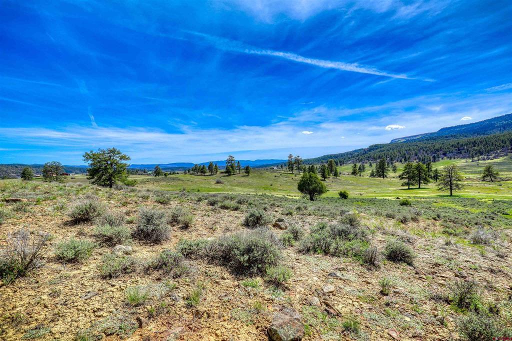 X County Road 359 Pagosa Springs CO 81147