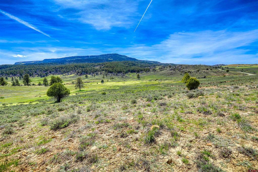 X County Road 359 Pagosa Springs CO 81147