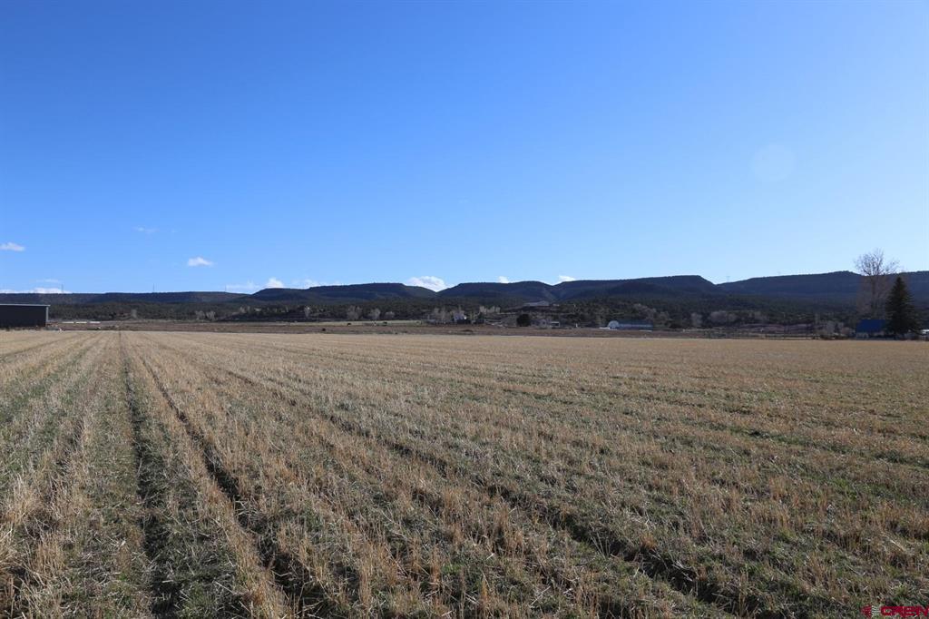 Tbd Lot 1 Old Valley Lane Road Montrose CO 81403