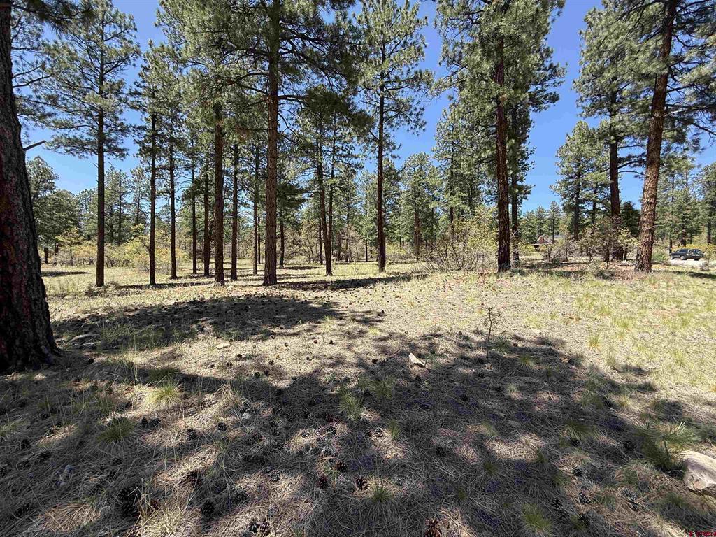 Tbd Ventana Pass Durango CO 81301