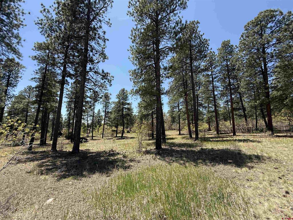 Tbd Ventana Pass Durango CO 81301