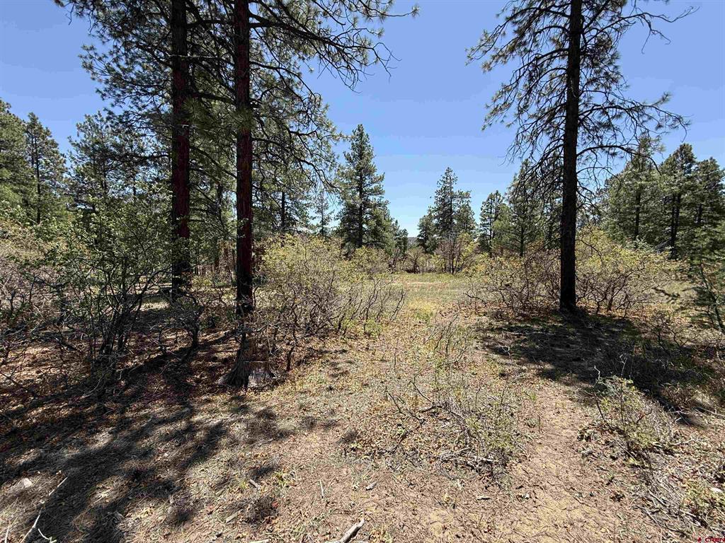 Tbd Ventana Pass Durango CO 81301
