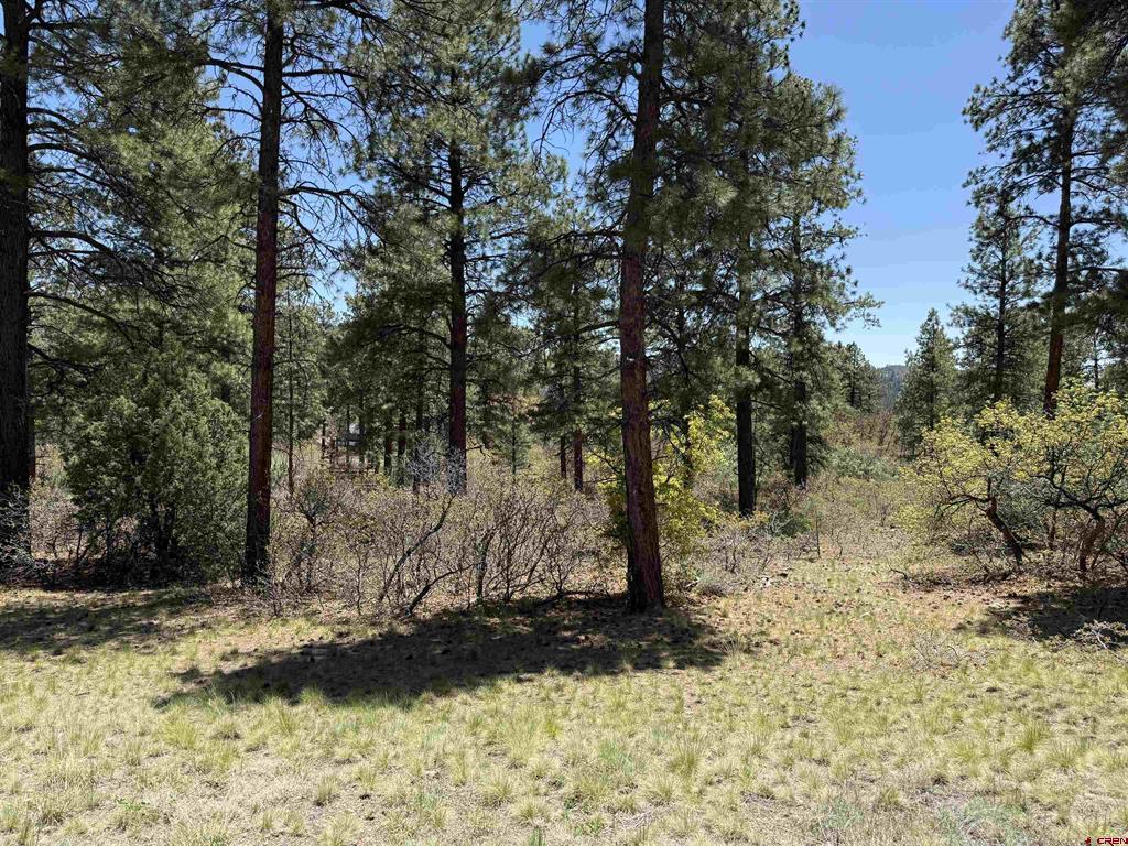 Tbd Ventana Pass Durango CO 81301