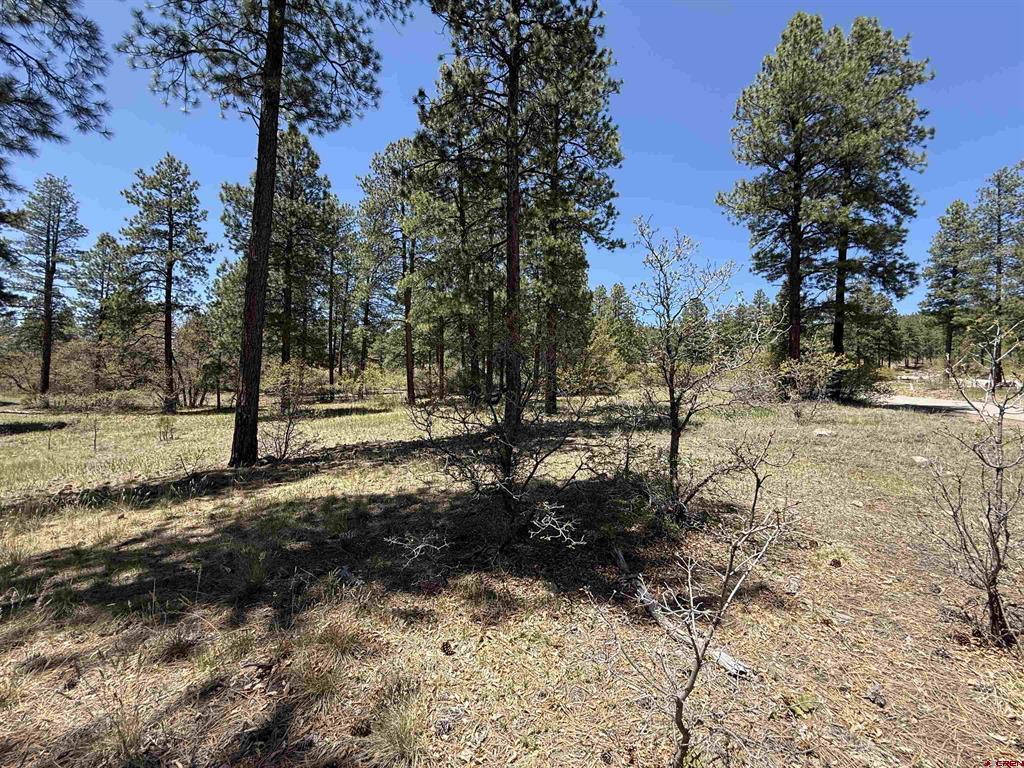 Tbd Ventana Pass Durango CO 81301