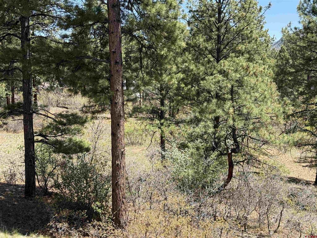 Tbd Ventana Pass Durango CO 81301