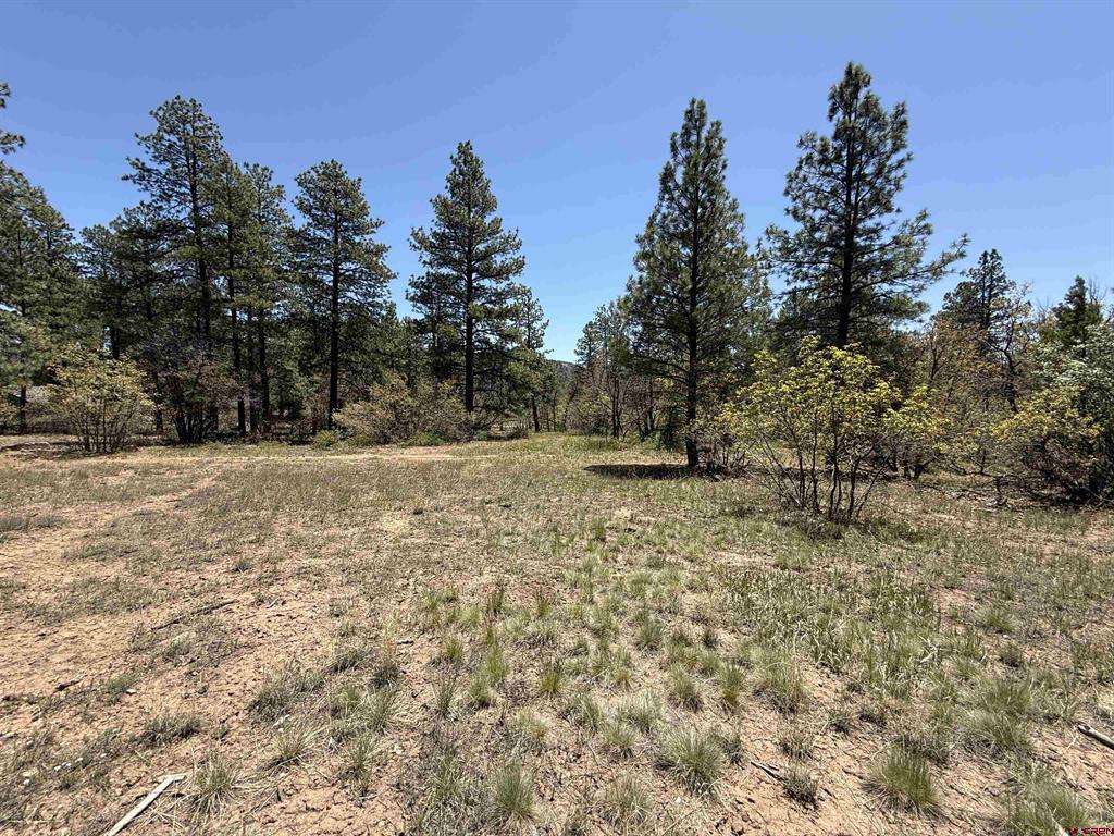 Tbd Ventana Pass Durango CO 81301