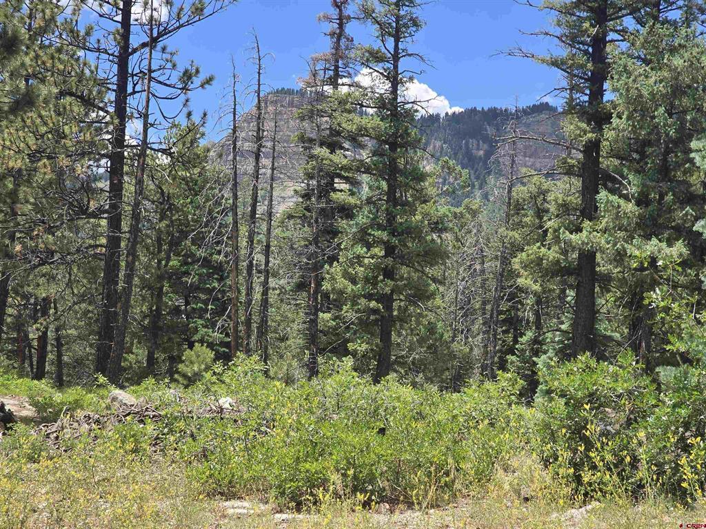 67 Big Pine Trail Durango CO 81301