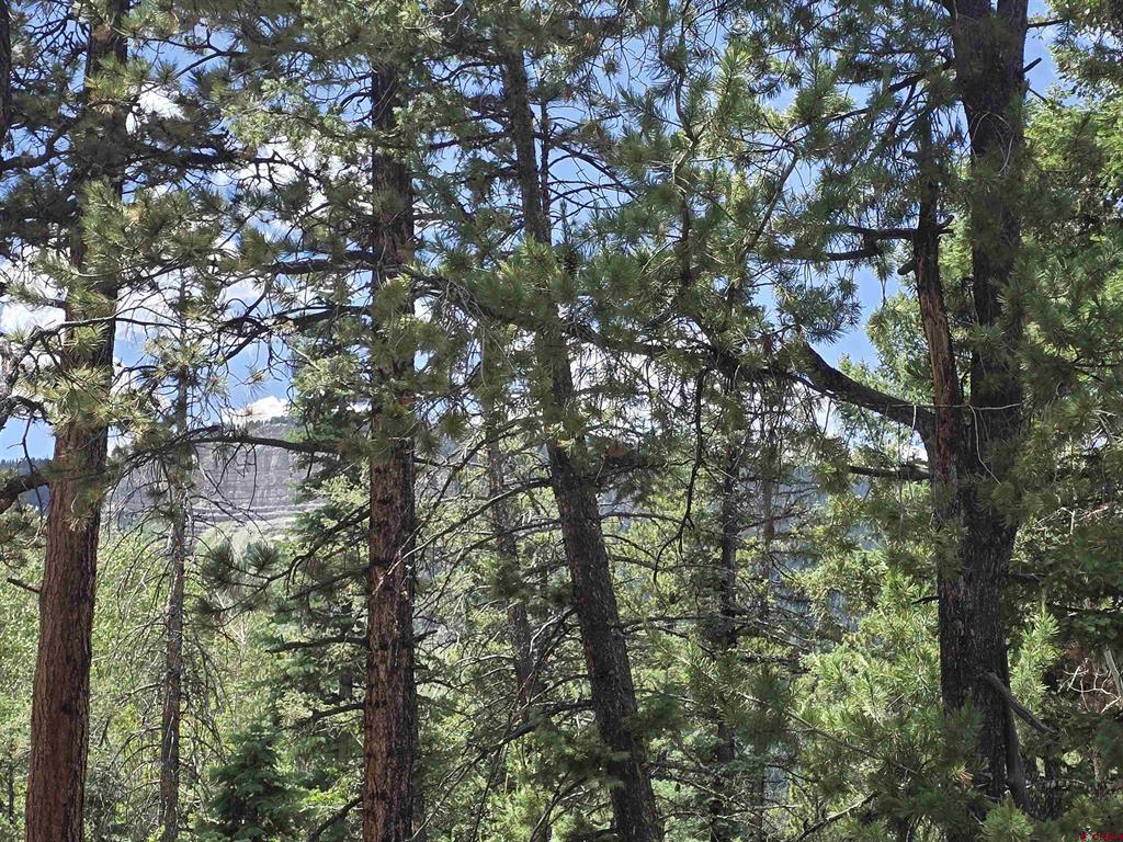 67 Big Pine Trail Durango CO 81301