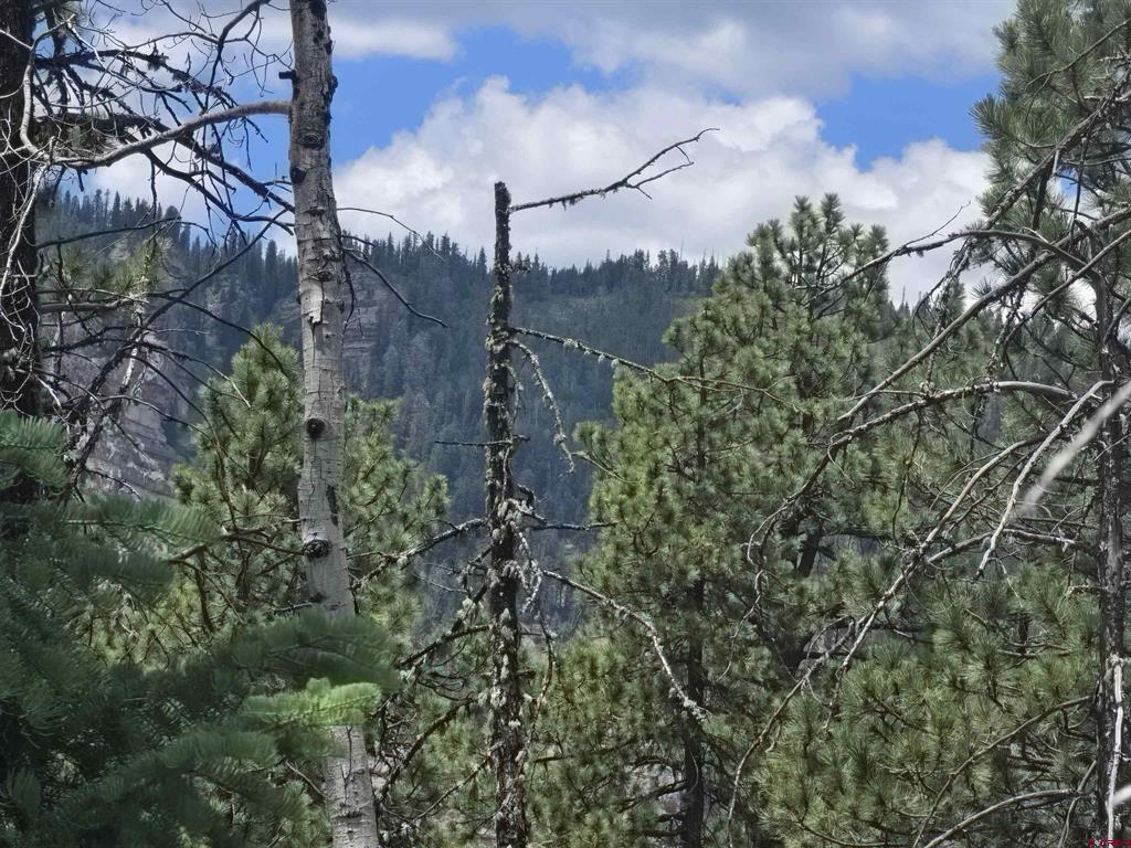 67 Big Pine Trail Durango CO 81301