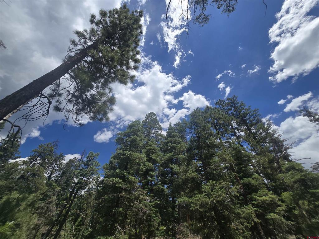 67 Big Pine Trail Durango CO 81301