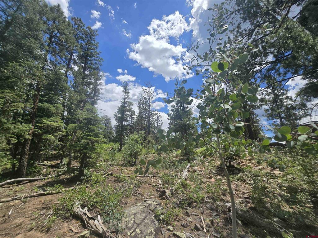 67 Big Pine Trail Durango CO 81301