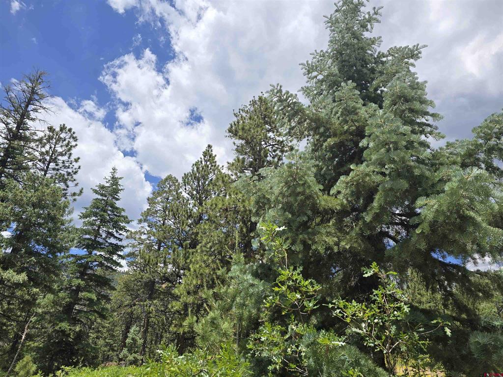 67 Big Pine Trail Durango CO 81301