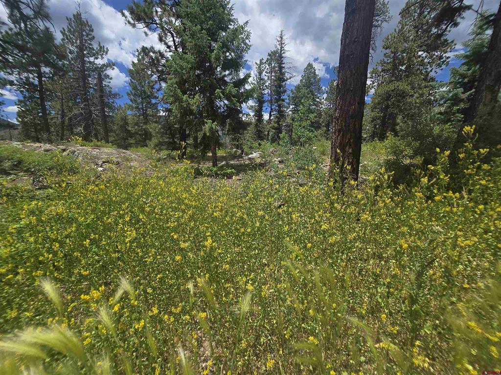 67 Big Pine Trail Durango CO 81301
