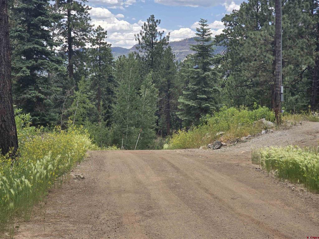 67 Big Pine Trail Durango CO 81301