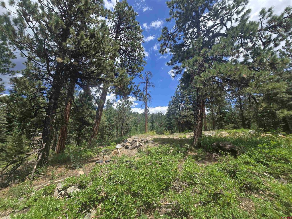 67 Big Pine Trail Durango CO 81301