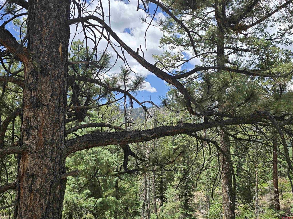67 Big Pine Trail Durango CO 81301