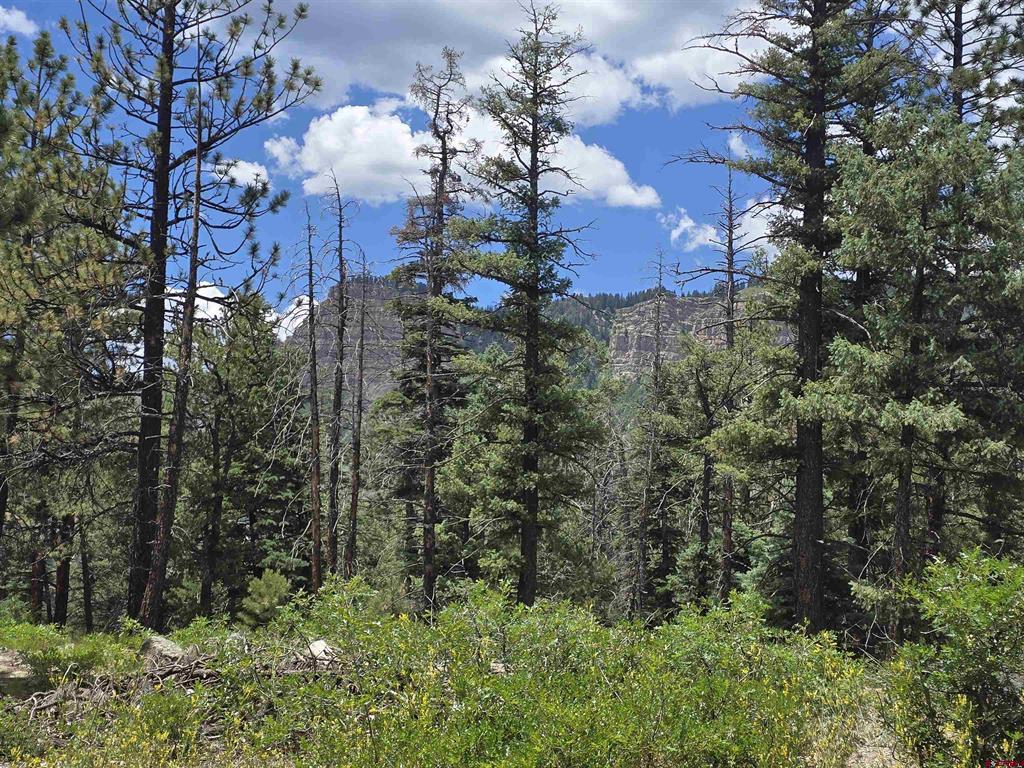 67 Big Pine Trail Durango CO 81301