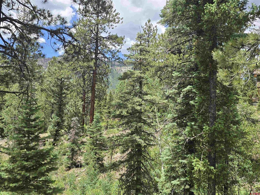 67 Big Pine Trail Durango CO 81301