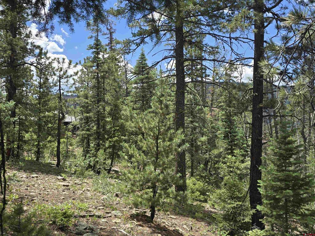 67 Big Pine Trail Durango CO 81301