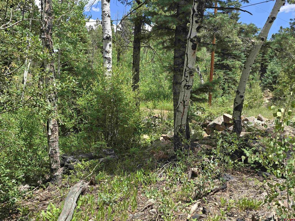 67 Big Pine Trail Durango CO 81301