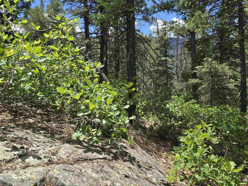 67 Big Pine Trail Durango CO 81301