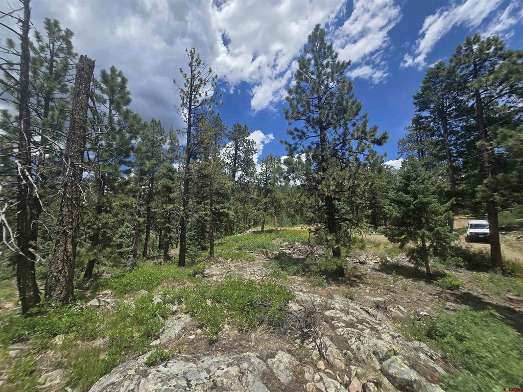 67 Big Pine Trail Durango CO 81301