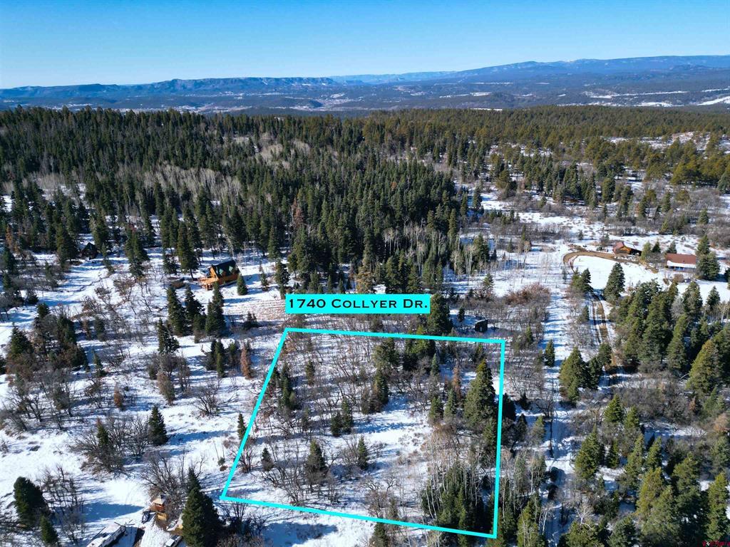 1740 Collyer Drive Pagosa Springs CO 81147