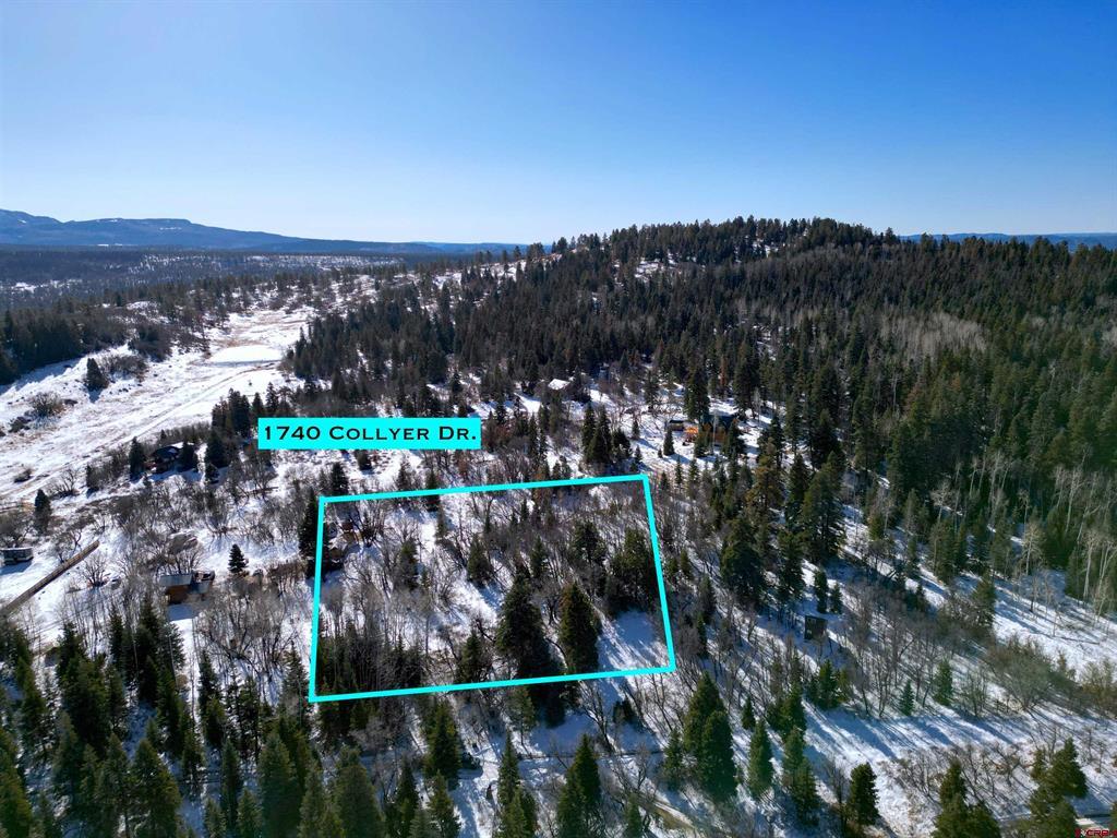 1740 Collyer Drive Pagosa Springs CO 81147