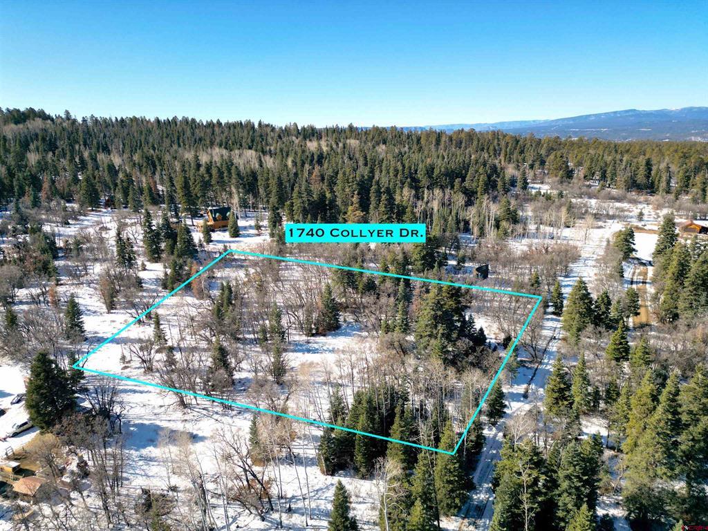1740 Collyer Drive Pagosa Springs CO 81147