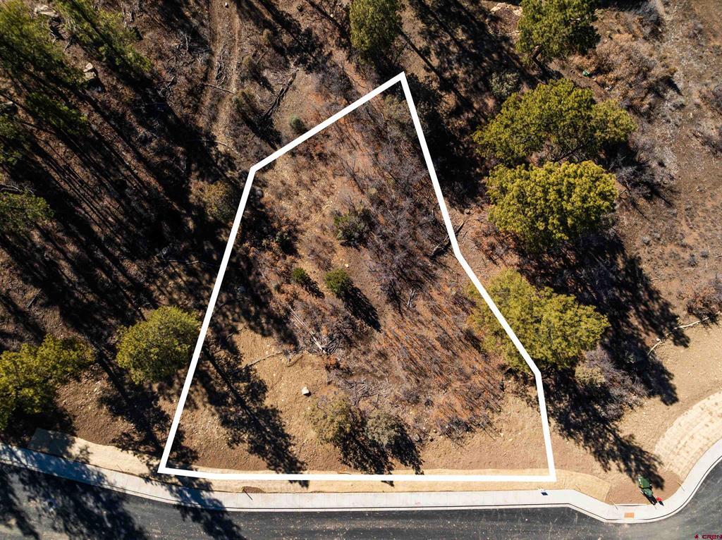 77 Winterberry Court (Lot 124) Durango CO 81301