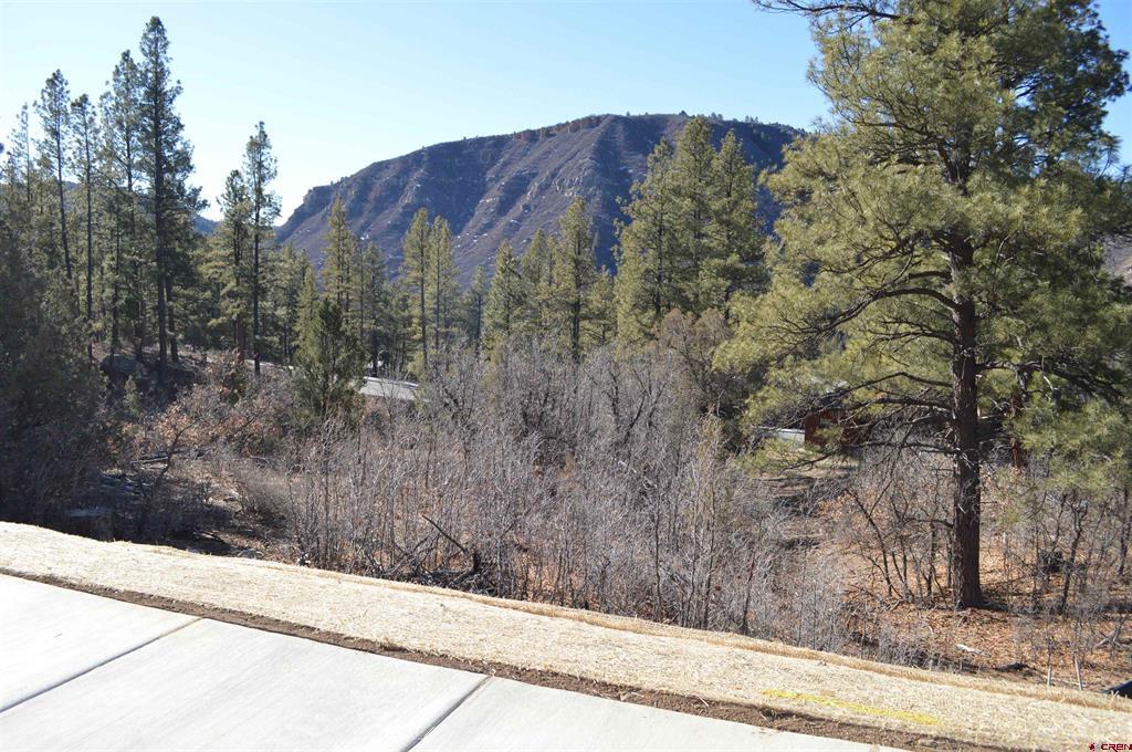 77 Winterberry Court (Lot 124) Durango CO 81301