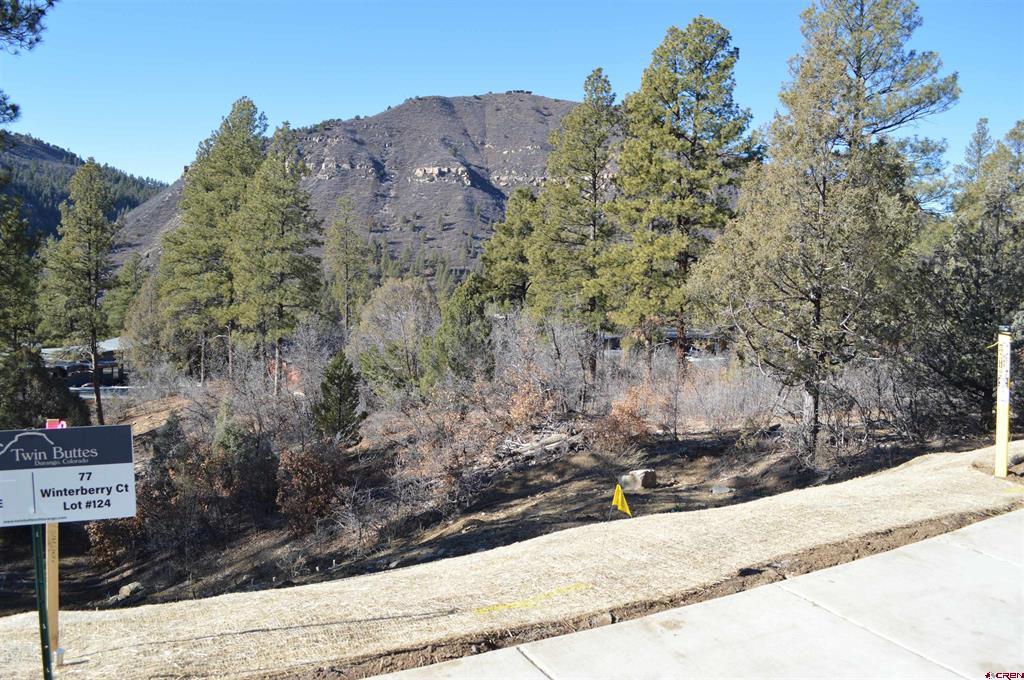 77 Winterberry Court (Lot 124) Durango CO 81301