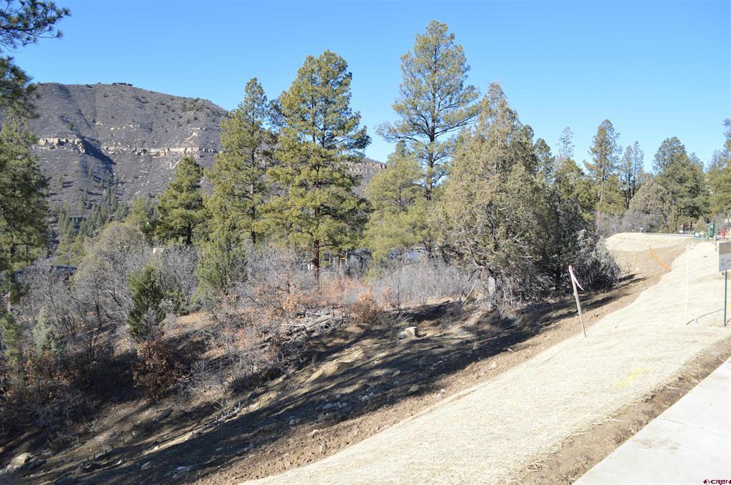 77 Winterberry Court (Lot 124) Durango CO 81301