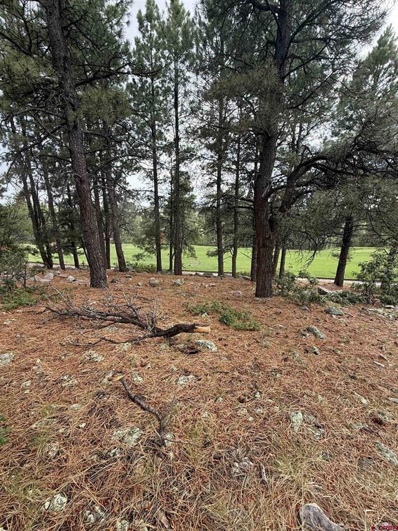 94 W Golf Place Pagosa Springs CO 81147