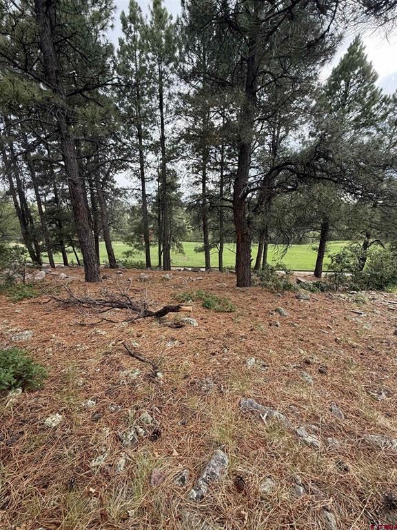 94 W Golf Place Pagosa Springs CO 81147