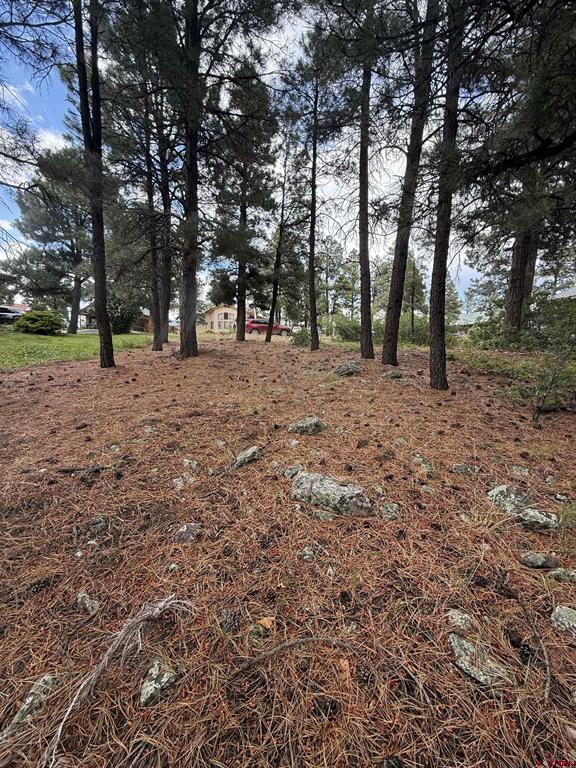 94 W Golf Place Pagosa Springs CO 81147
