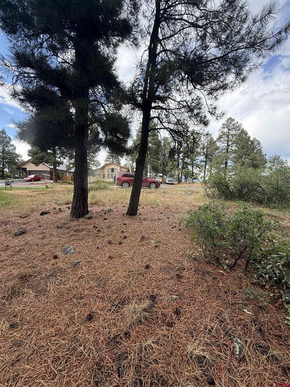 94 W Golf Place Pagosa Springs CO 81147