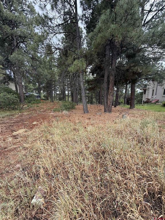 94 W Golf Place Pagosa Springs CO 81147