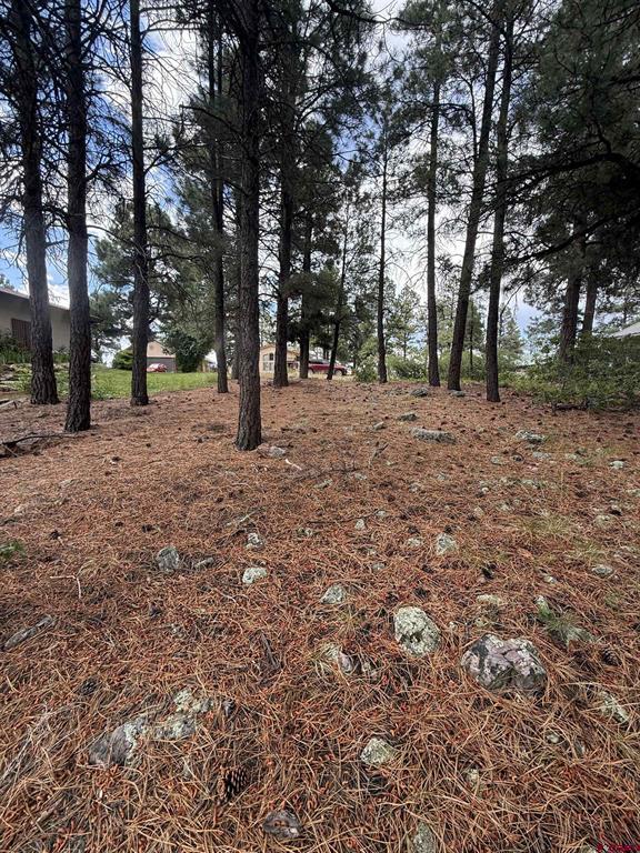 94 W Golf Place Pagosa Springs CO 81147