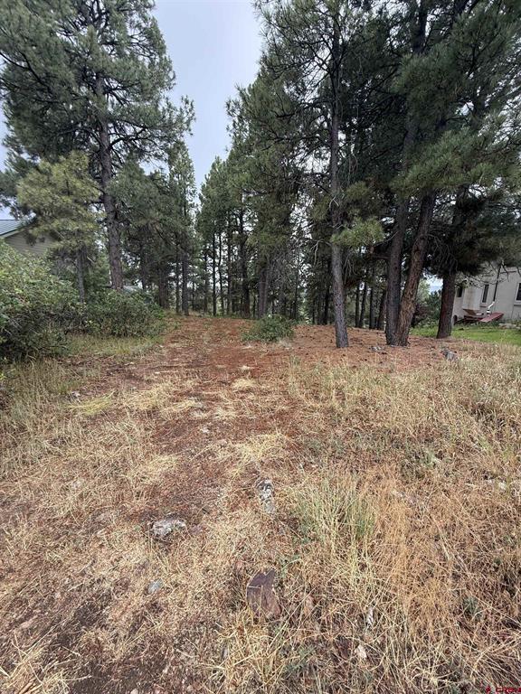 94 W Golf Place Pagosa Springs CO 81147