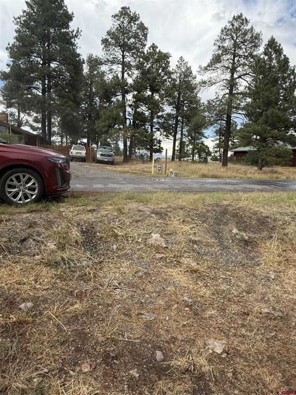 94 W Golf Place Pagosa Springs CO 81147