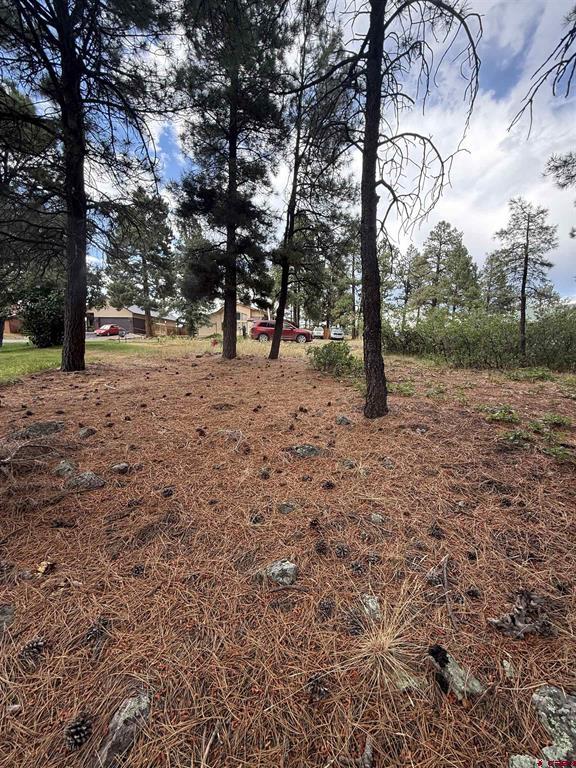 94 W Golf Place Pagosa Springs CO 81147