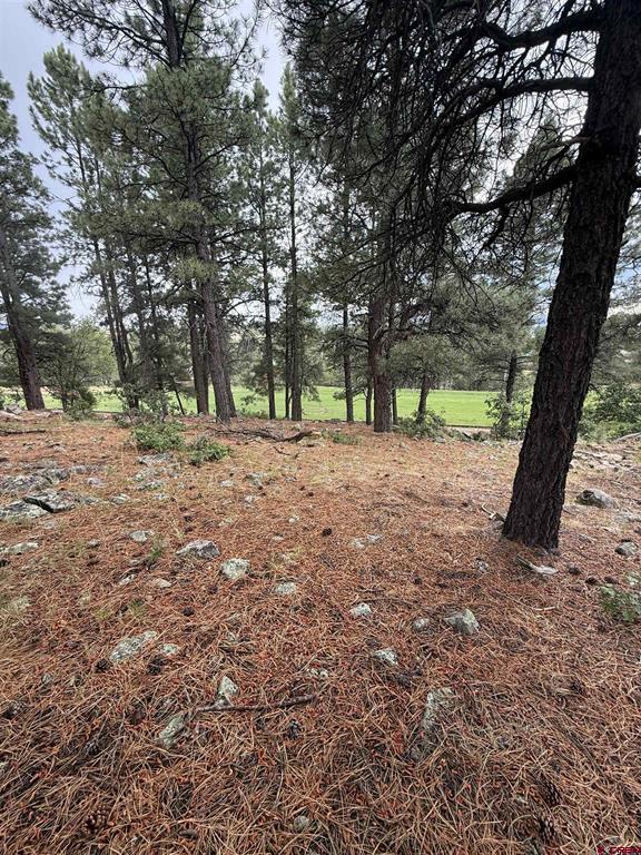 94 W Golf Place Pagosa Springs CO 81147