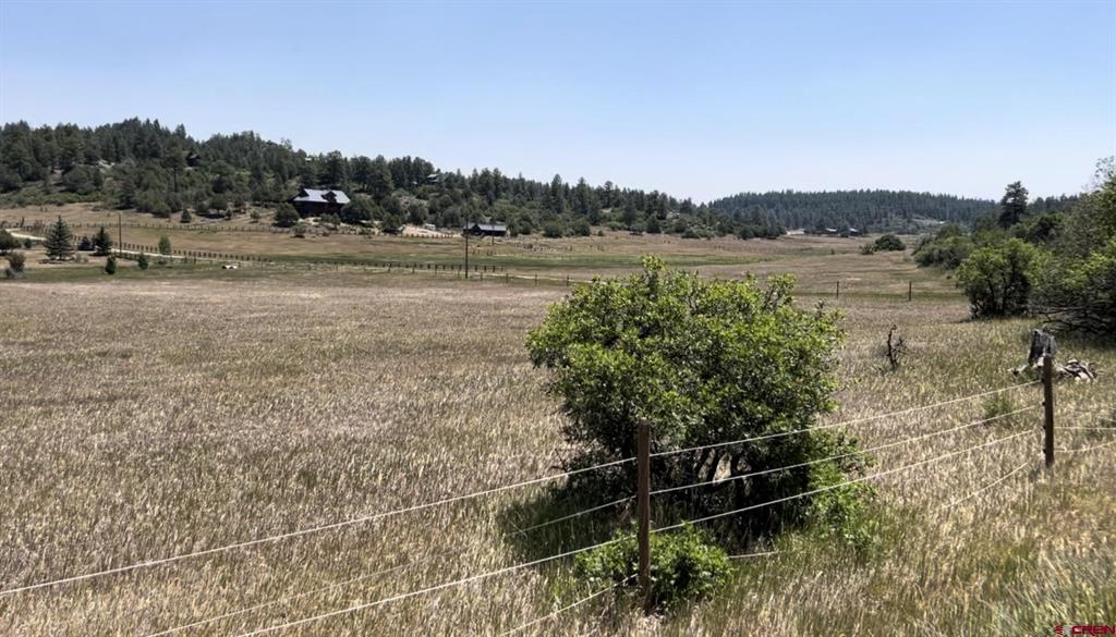 74 Springs Court Pagosa Springs CO 81147