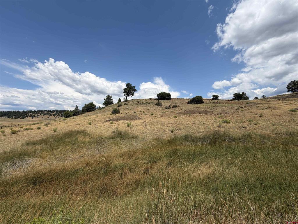 Pagosa Springs CO, 893 Loma Linda