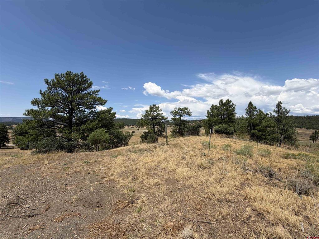 893 Loma Linda Drive Pagosa Springs CO 81147