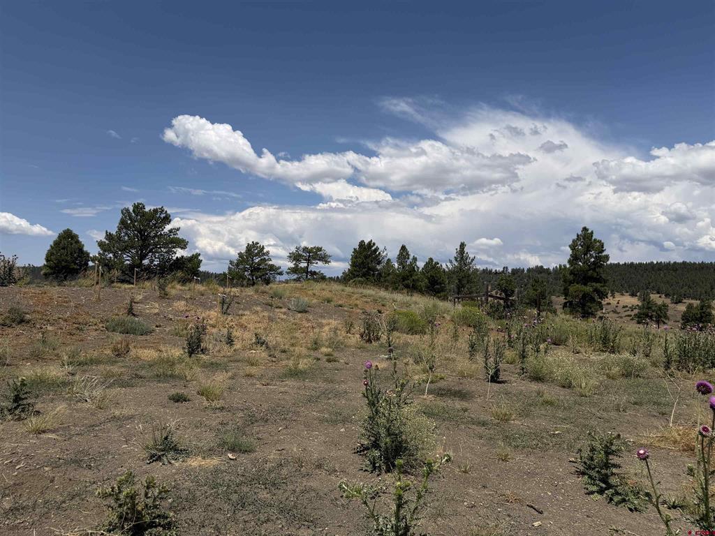 893 Loma Linda Drive Pagosa Springs CO 81147