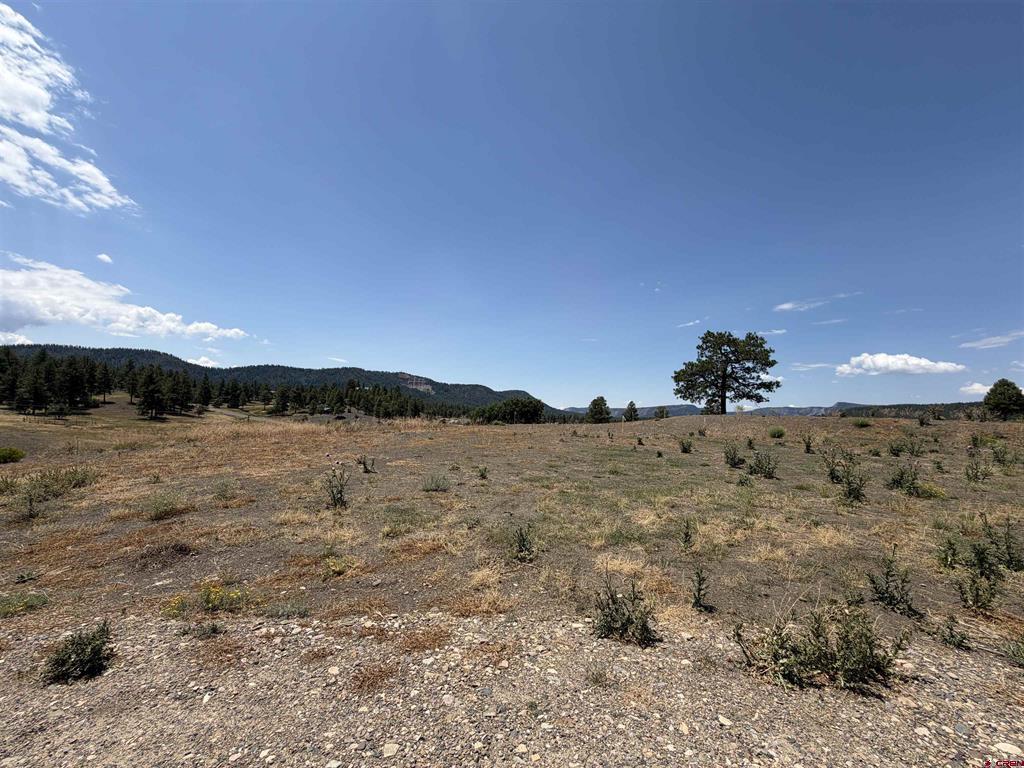 893 Loma Linda Drive Pagosa Springs CO 81147