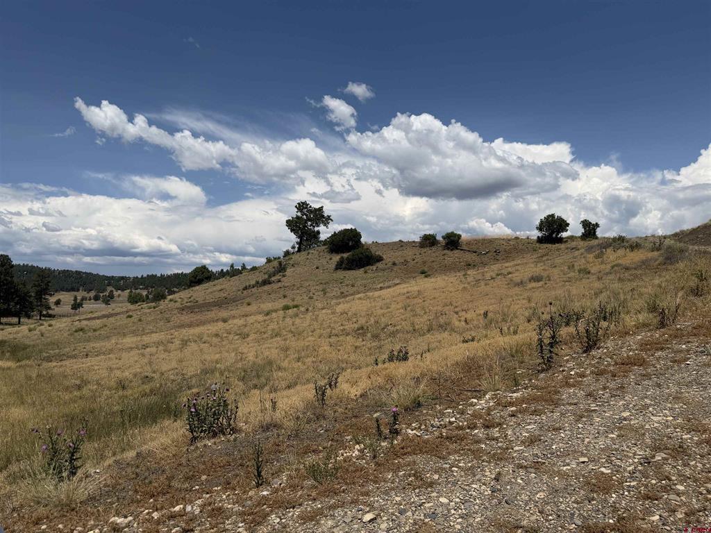 893 Loma Linda Drive Pagosa Springs CO 81147